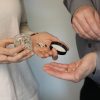 These tiny plastic particles were extracted from Toronto’s harbour by U of T researchers Chelsea Rochman and Bob Andrews (photo by Tyler Irving)