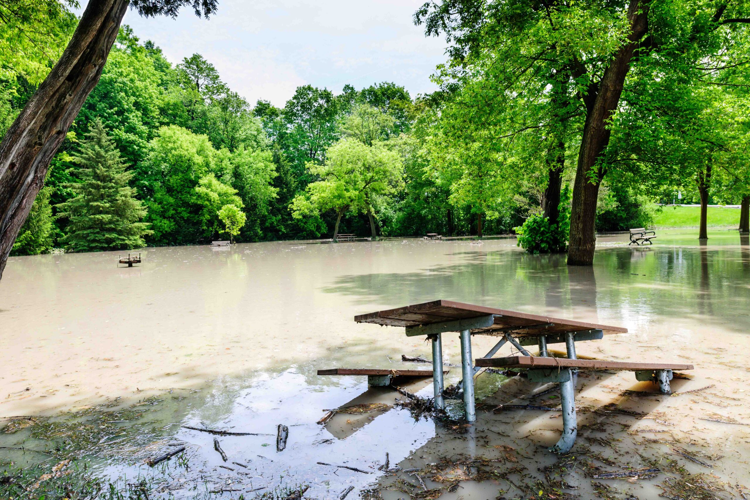 Picnic area of Sunnybrook park in Toronto flooded after heavy rains