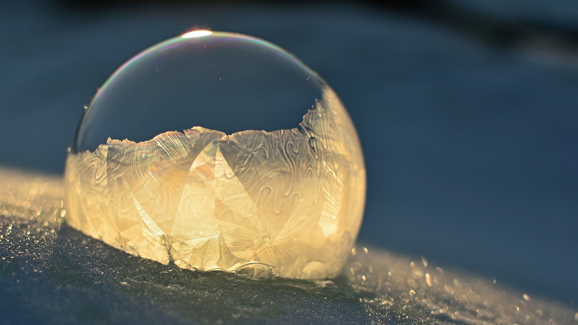 bubble