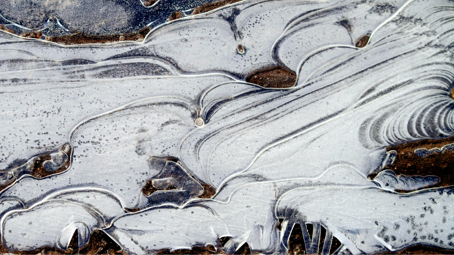 frozen soil (1)