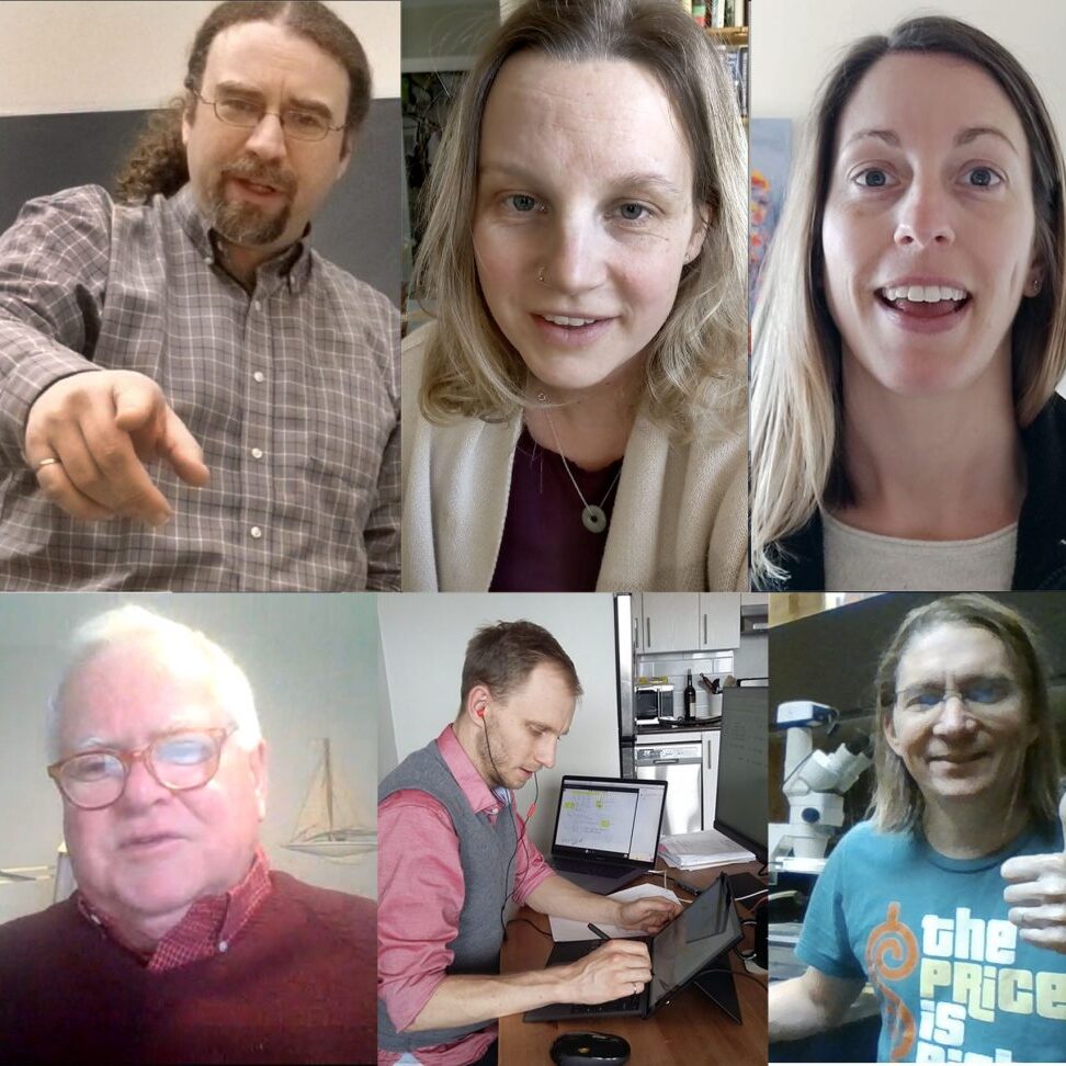A composite image of (clockwise from top left) Professors Evan Bentz, Jennifer Drake, Marianne Touchie, Karl Peterson, David Taylor and Doug Hooton.