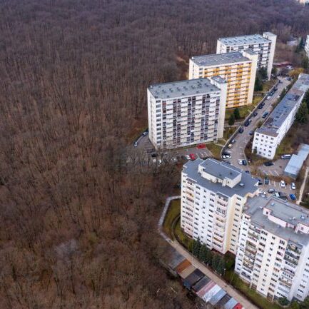 urban-vs-nature-aerial-view-residential-area-aga-2021-08-29_900x600-650x433